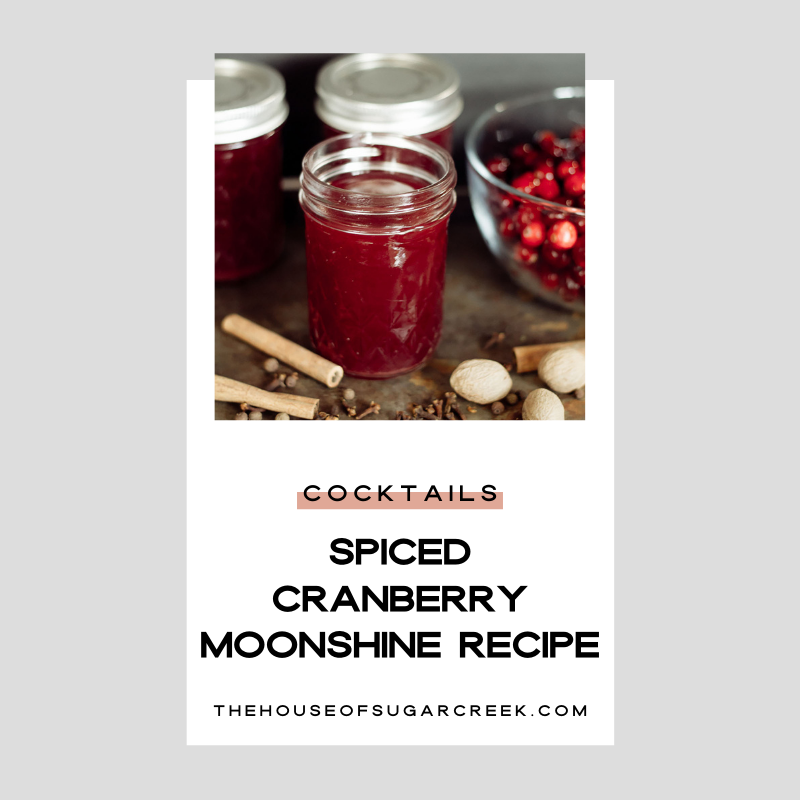 SPICED CRANBERRY MOONSHINE