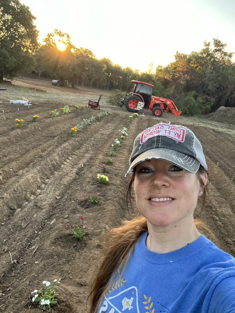 Planning my 2024 Fall Garden