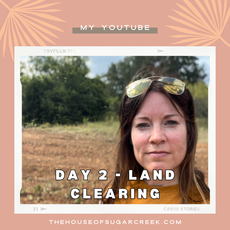 DAY 2 OF OUR LAND CLEARING ADVENTURES