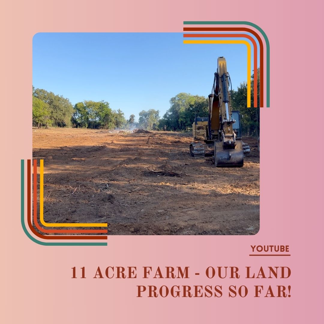 Our 11 Acre Farm - Land Clearing Progress To Date!