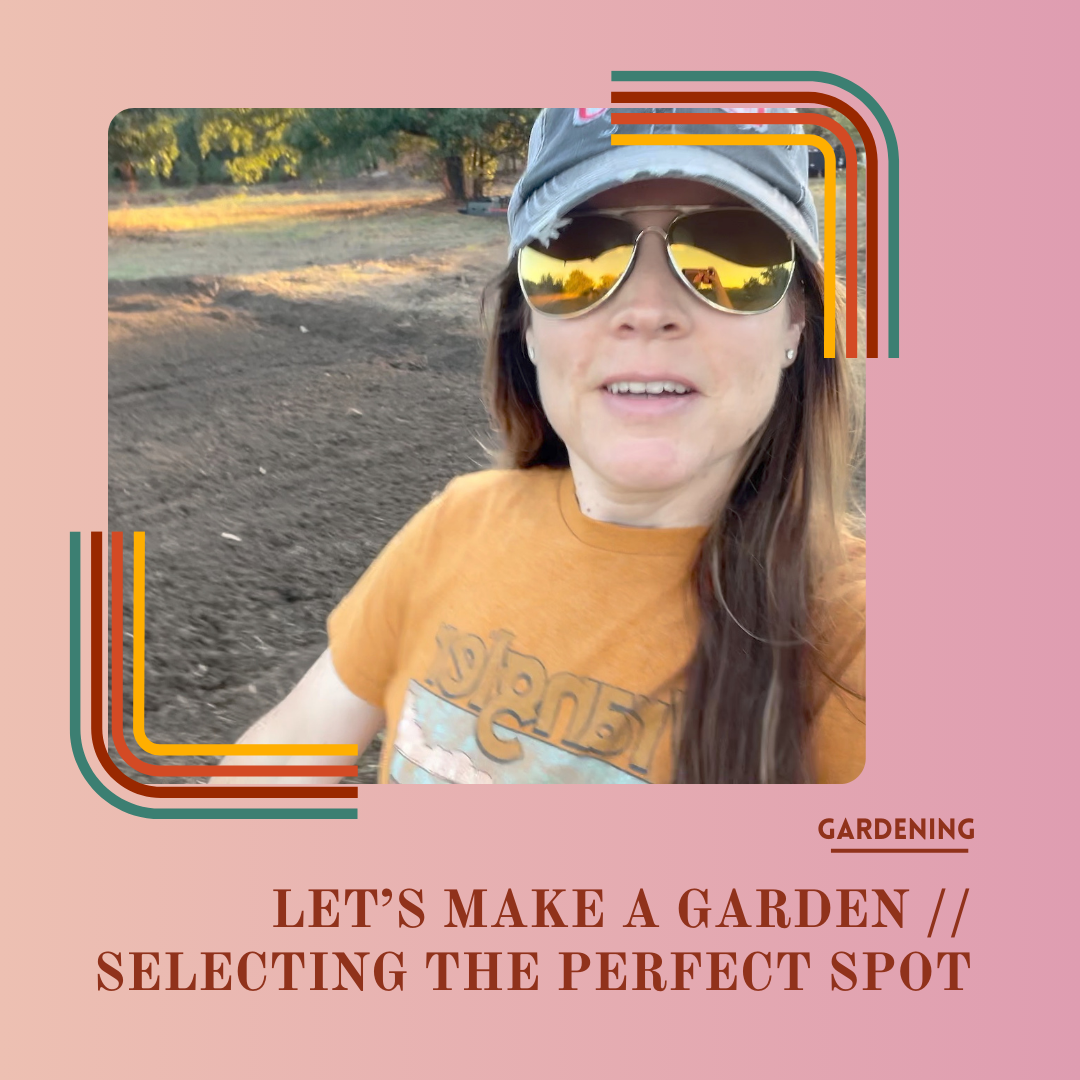 Let's Make a Garden // Selecting the Perfect Spot