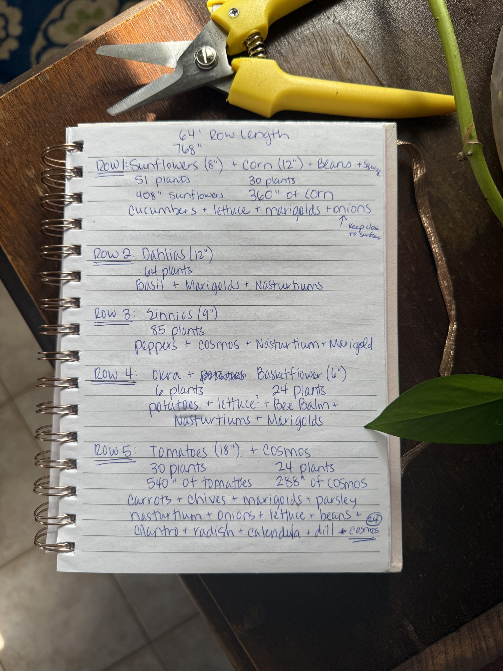 Garden Plan 2025 - Part 1