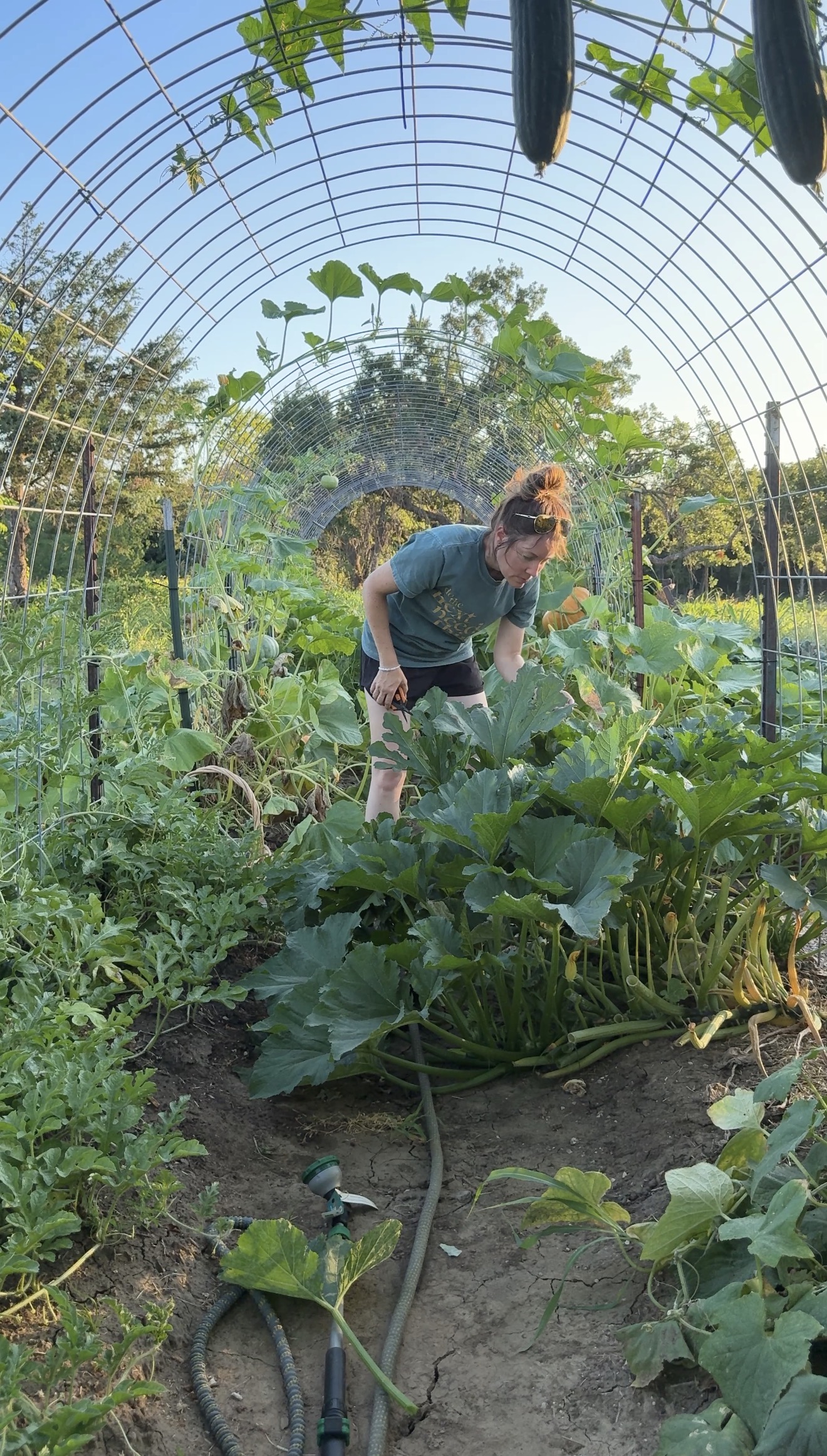 The Most Common Planning Mistake I See New Gardeners Make (And How to Avoid It)